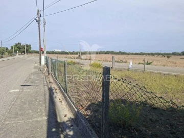 Terreno para Venda em Foros de Arrão