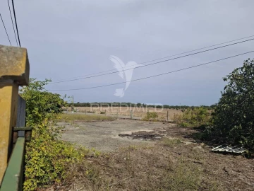 Terreno para Venda em Foros de Arrão