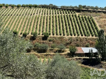 Quinta para Venda em Cedovim