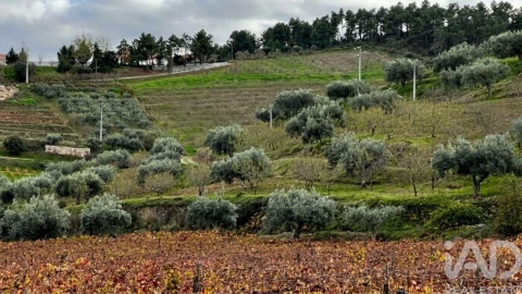 Quinta para Venda em Cedovim