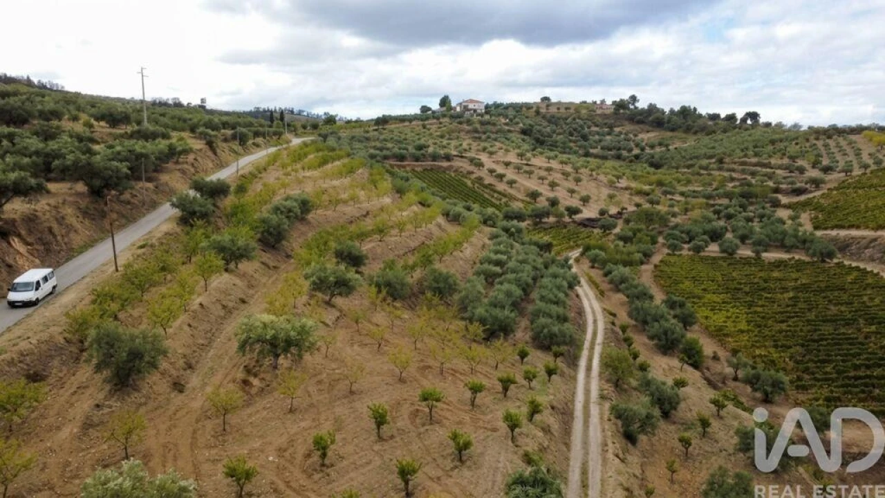 Quinta para Venda em Cedovim Foto 3