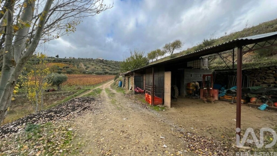 Quinta para Venda em Cedovim Foto 16