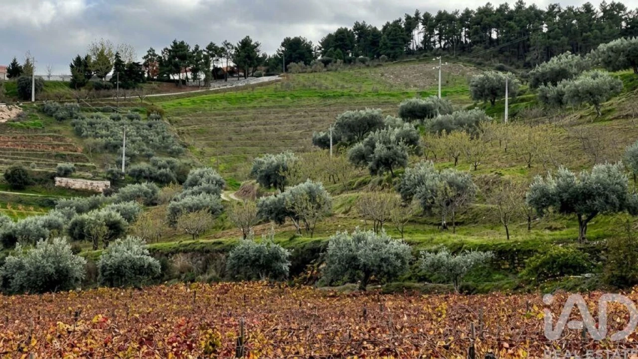 Quinta para Venda em Cedovim Foto 13