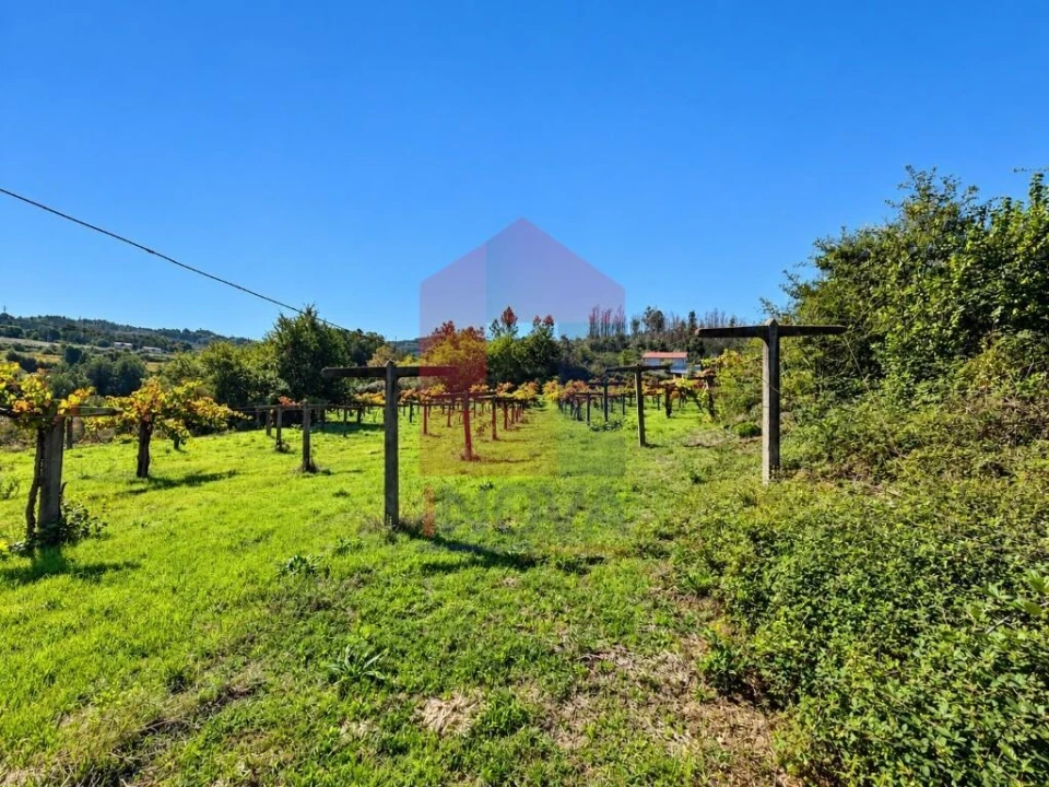 Quinta para Venda em Monsul Foto 7
