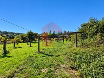 Quinta para Venda em Monsul