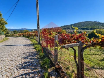 Quinta para Venda em Monsul