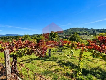 Quinta para Venda em Monsul