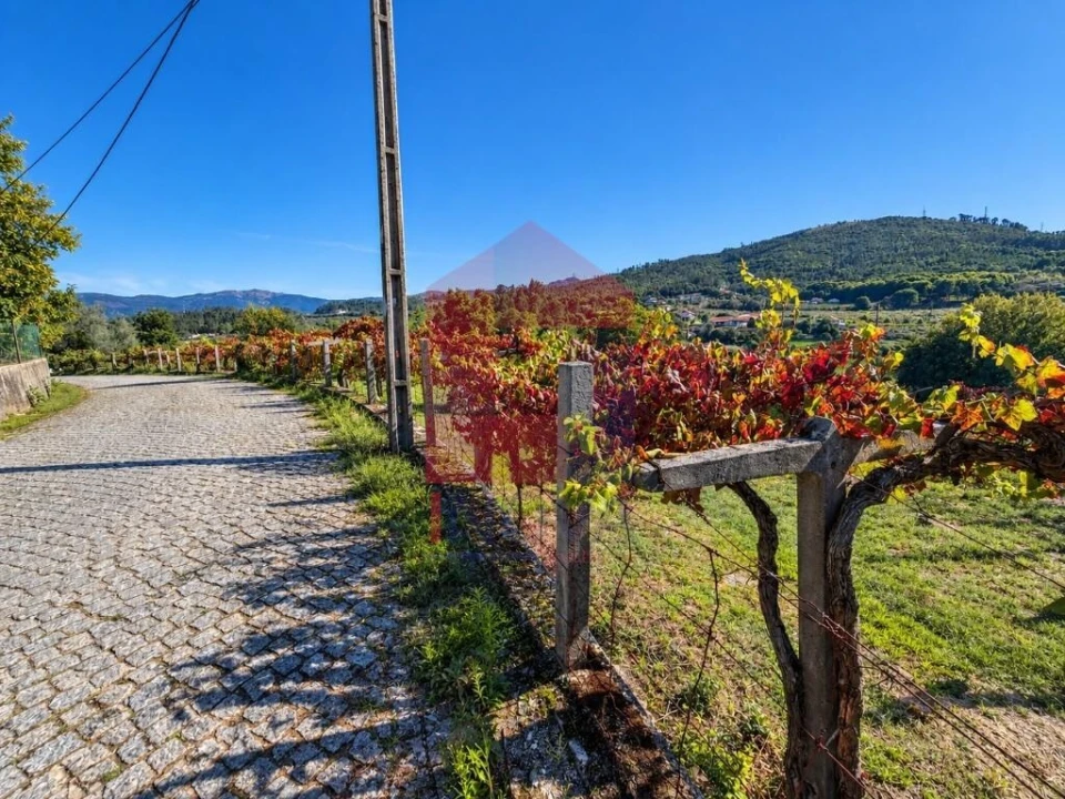 Quinta para Venda em Monsul Foto 17