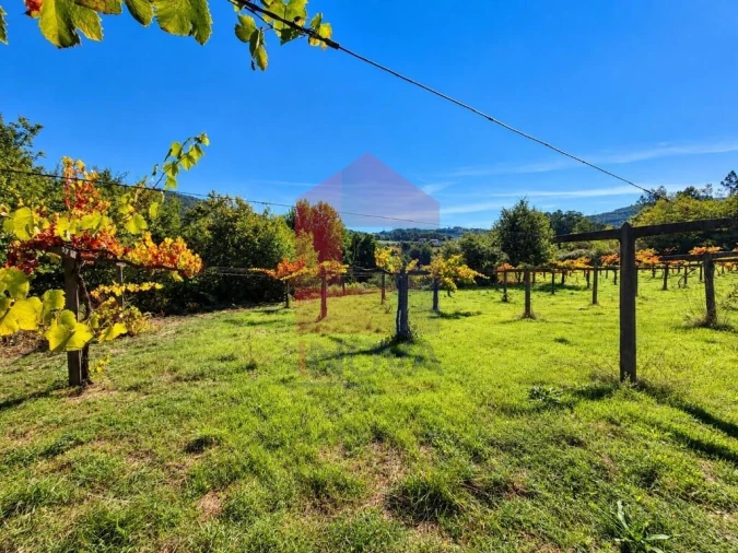 Quinta para Venda em Monsul Foto 8