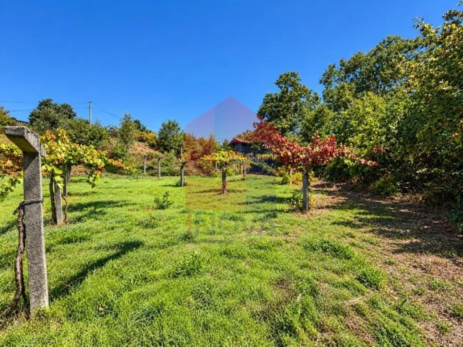 Quinta para Venda em Monsul Foto 10