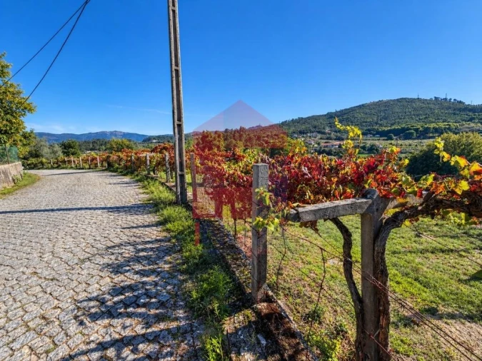 Quinta para Venda em Monsul Foto 17