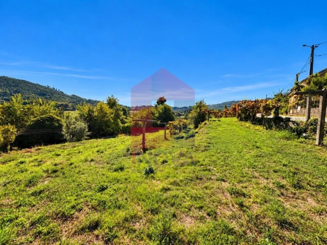 Quinta para Venda em Monsul Foto 3