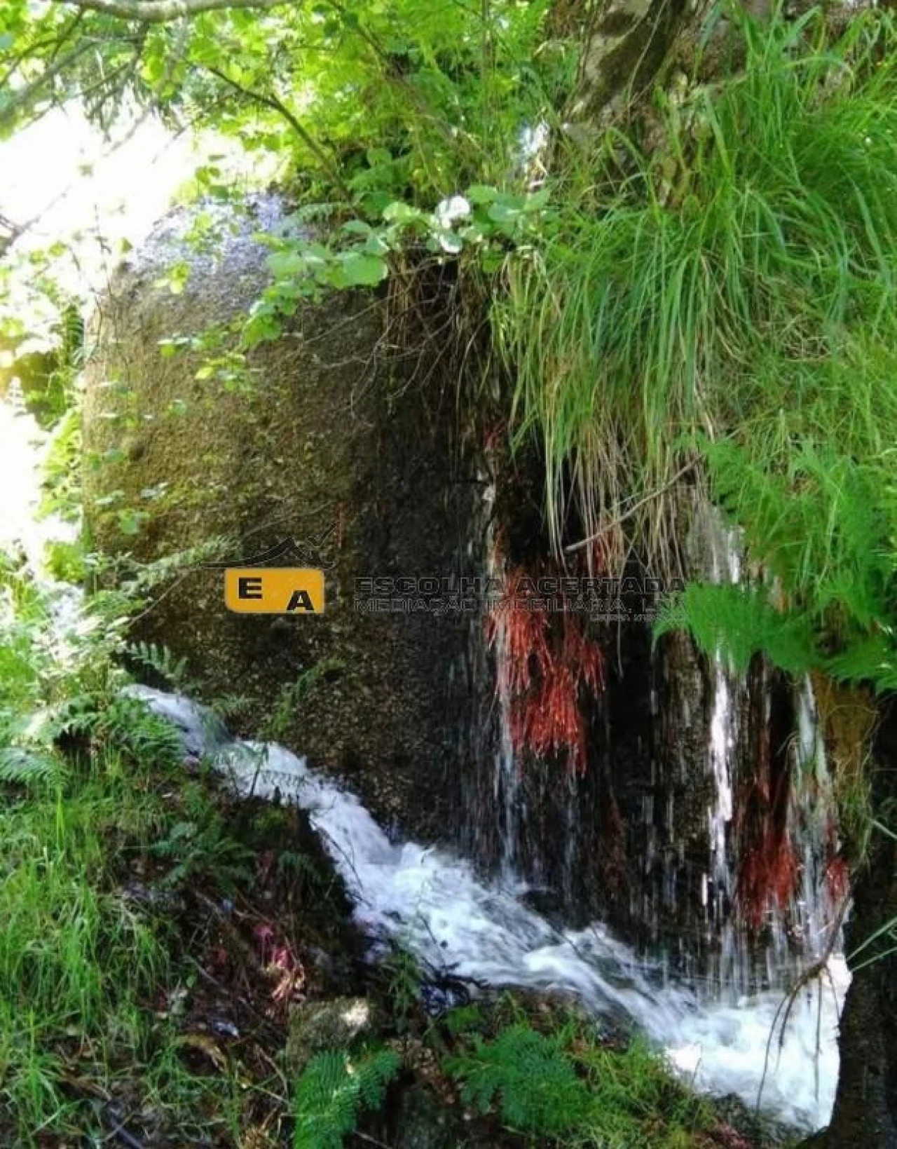 Terreno para Venda em Avessadas e Rosém Foto 1