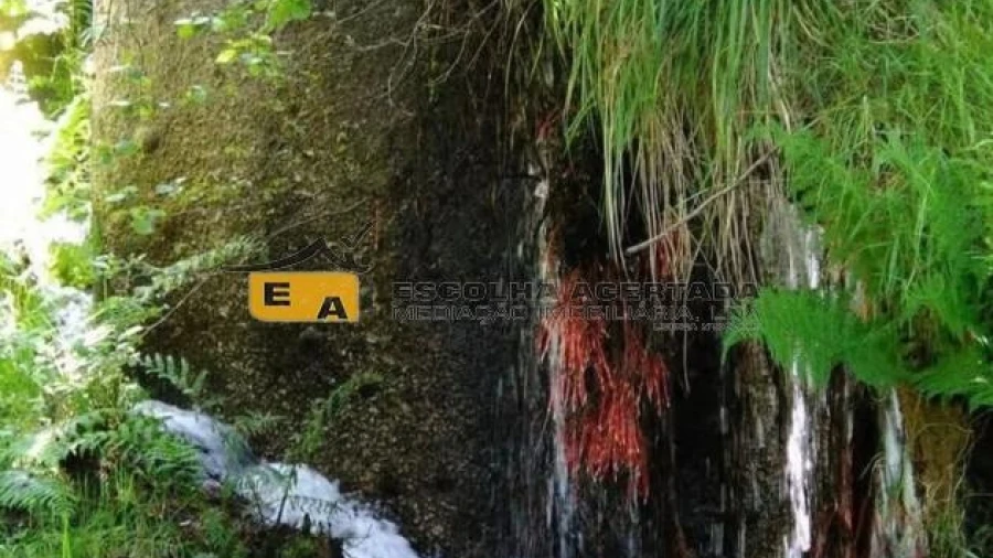 Terreno para Venda em Avessadas e Rosém