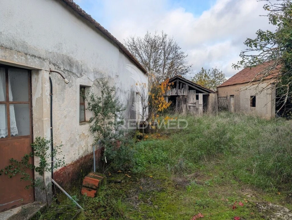 Moradia T3 para Venda em Brogueira, Parceiros de Igreja e Alcorochel Foto 9