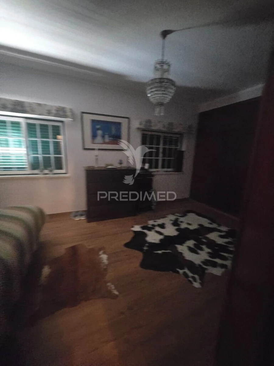 Moradia T6 para Venda em Golegã Foto 14