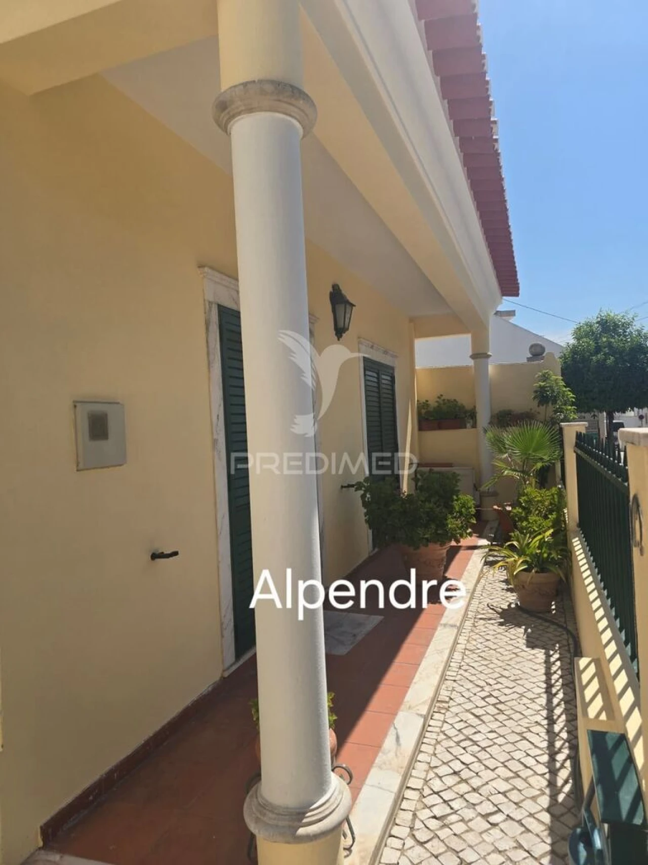 Moradia T6 para Venda em Golegã Foto 19