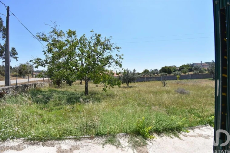 Quinta T5 para Venda em Alvorge Foto 10