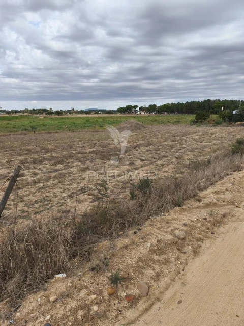 Terreno para Venda em Salvaterra de Magos e Foros de Salvaterra