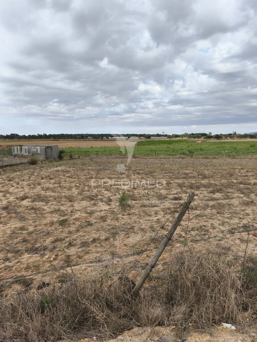 Terreno para Venda em Salvaterra de Magos e Foros de Salvaterra Foto 4