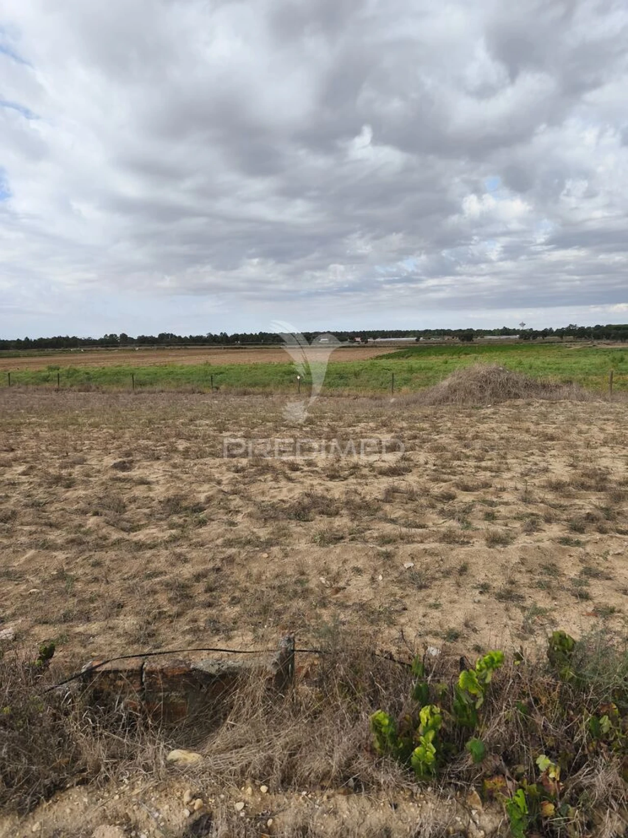 Terreno para Venda em Salvaterra de Magos e Foros de Salvaterra Foto 1