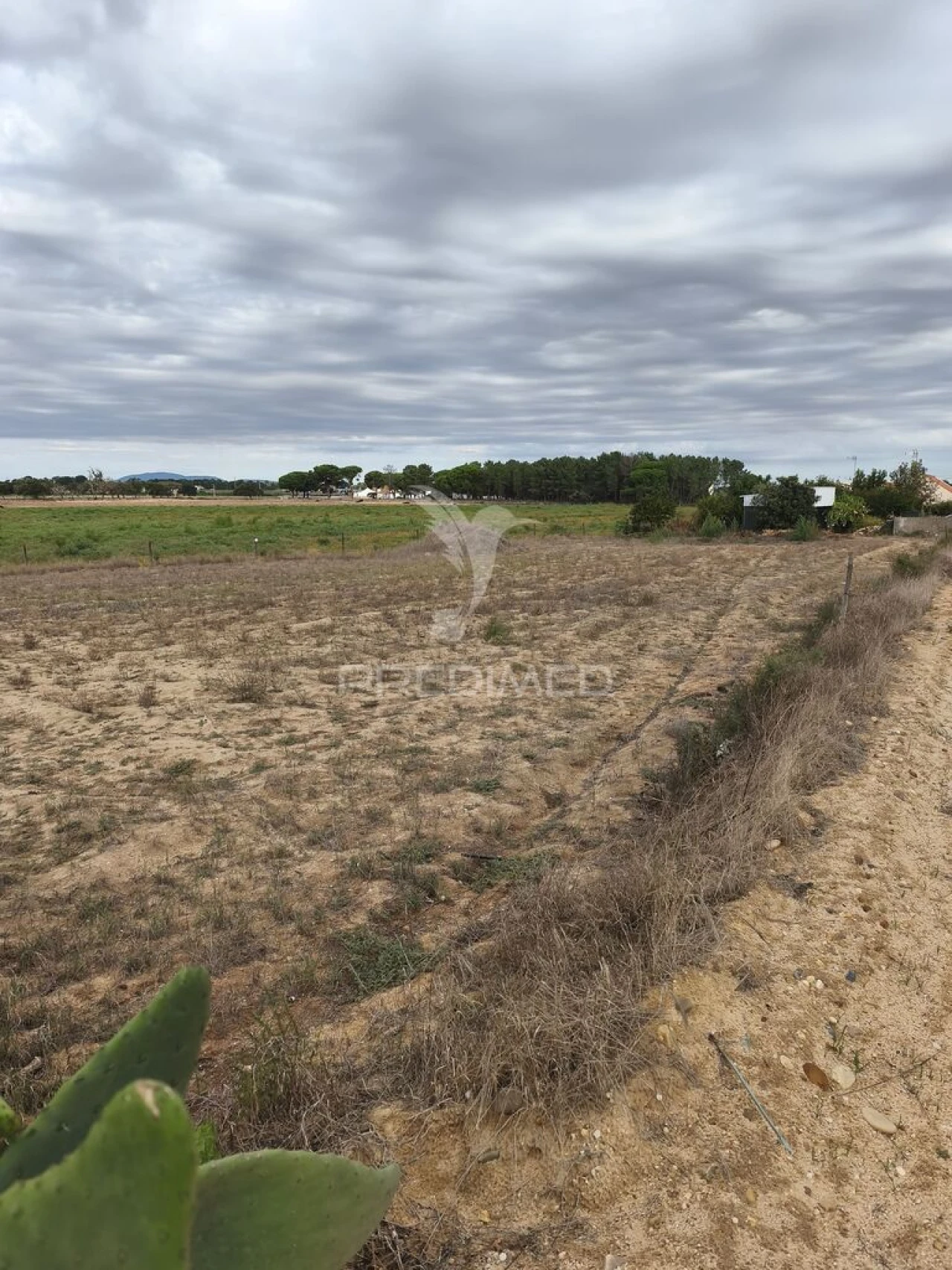 Terreno para Venda em Salvaterra de Magos e Foros de Salvaterra Foto 2