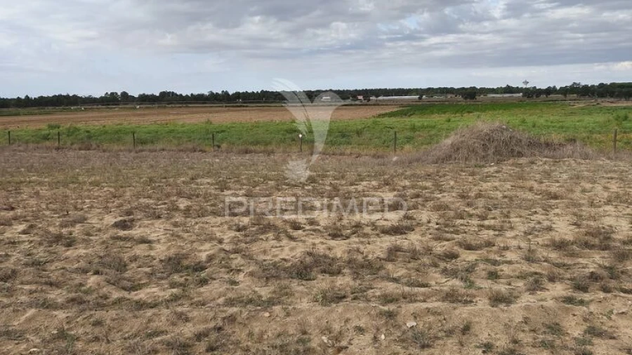 Terreno para Venda em Salvaterra de Magos e Foros de Salvaterra