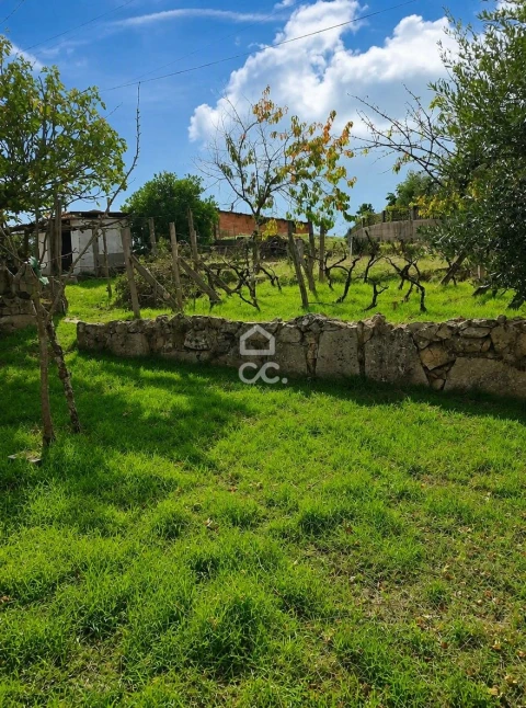 Moradia T3 para Venda em Calde