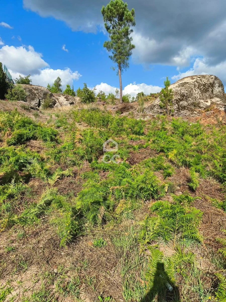 Terreno para Venda em Calde Foto 4