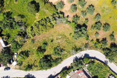 Terreno para Venda em Loule (São Clemente)