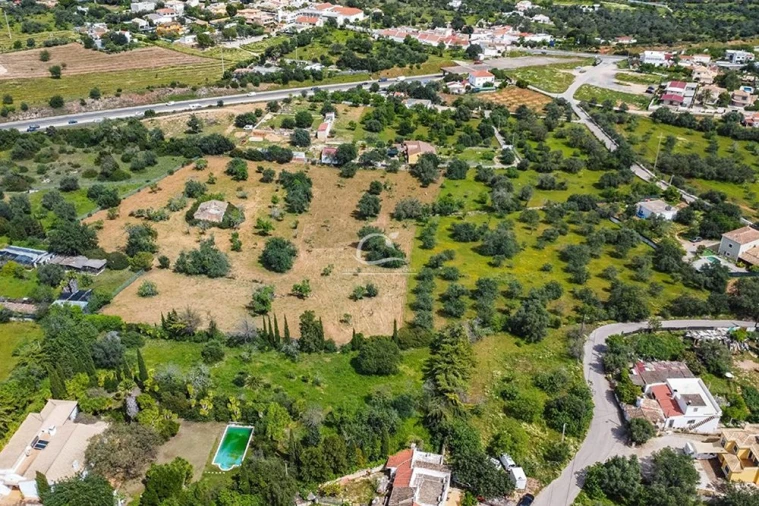 Terreno para Venda em Loule (São Clemente) Foto 10
