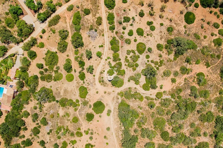 Terreno para Venda em Olhão Foto 10