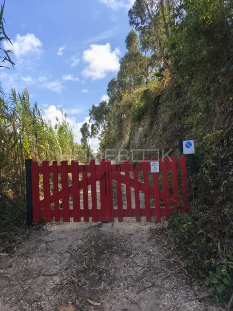 Terreno para Venda em Santo Isidoro