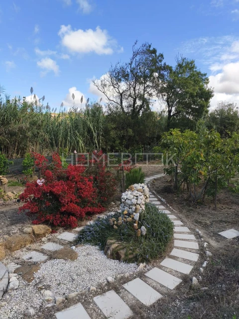 Terreno para Venda em Santo Isidoro