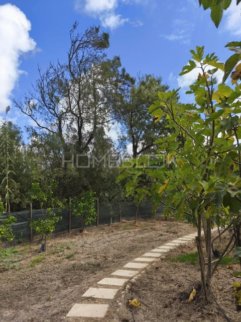 Terreno para Venda em Santo Isidoro