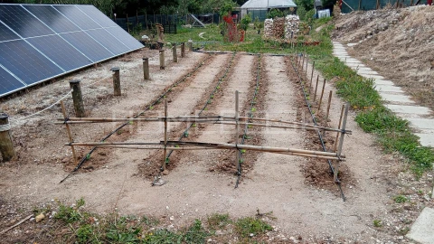 Terreno para Venda em Santo Isidoro