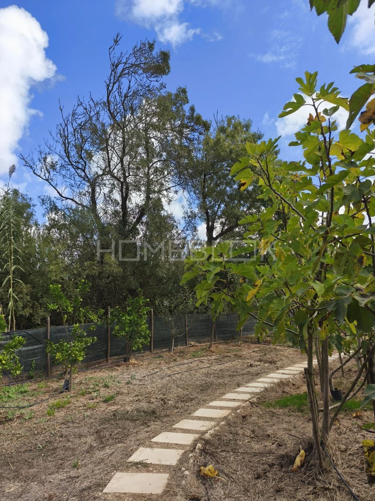 Terreno para Venda em Santo Isidoro Foto 25