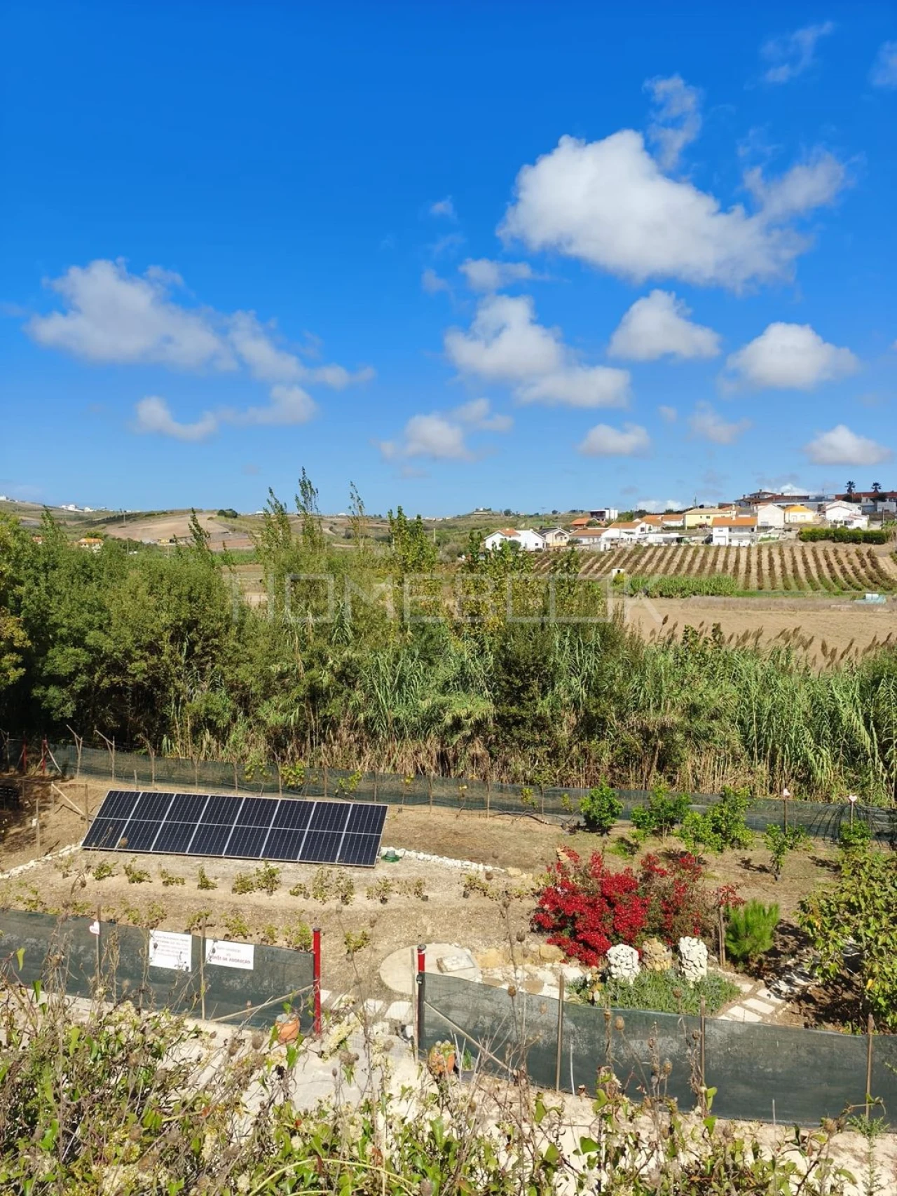 Terreno para Venda em Santo Isidoro Foto 1