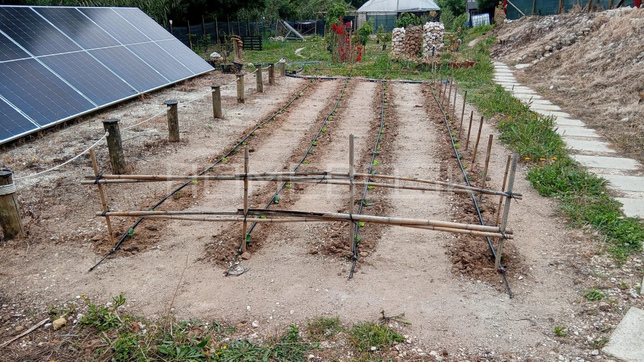 Terreno para Venda em Santo Isidoro Foto 17