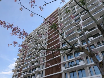 Apartamento T1 para Venda em Parque das Nações