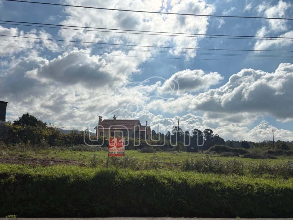 Terreno para Venda em Forjães Foto 5