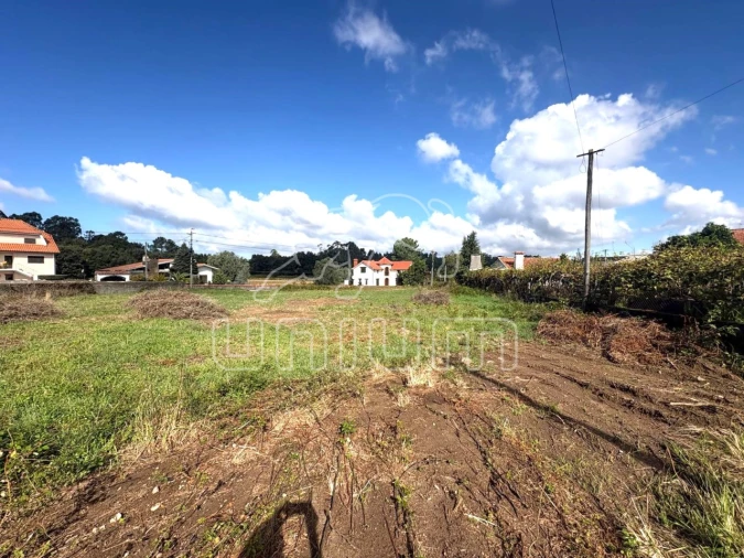 Terreno para Venda em Forjães Foto 2