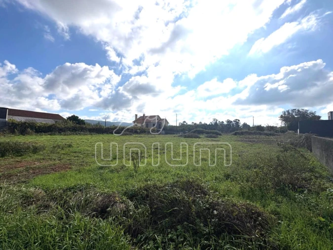 Terreno para Venda em Forjães Foto 9