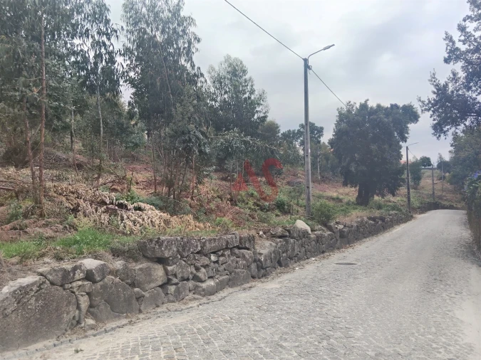 Terreno para Venda em Roriz Foto 3