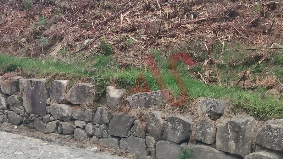 Terreno para Venda em Roriz