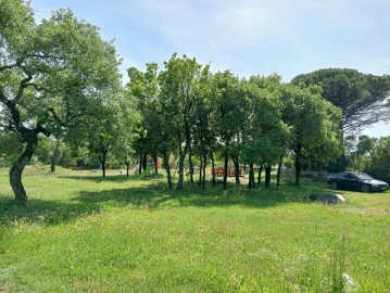 Quinta T1 para Venda em Aljubarrota