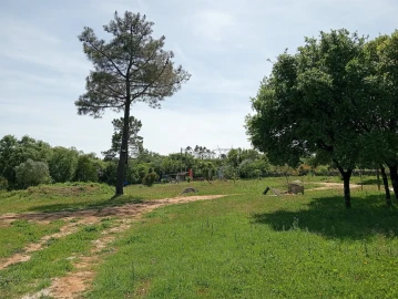Quinta T1 para Venda em Aljubarrota