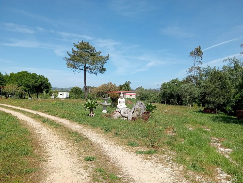 Quinta T1 para Venda em Aljubarrota Foto 14