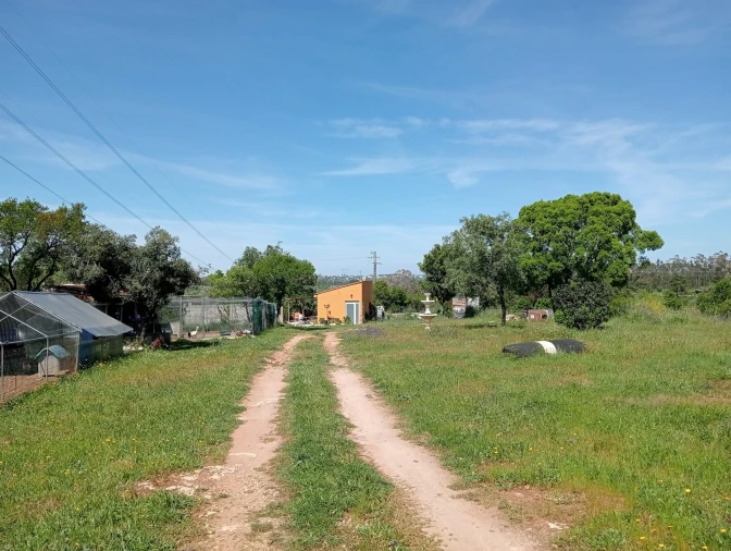 Quinta T1 para Venda em Aljubarrota Foto 17