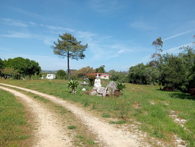 Quinta T1 para Venda em Aljubarrota Foto 14